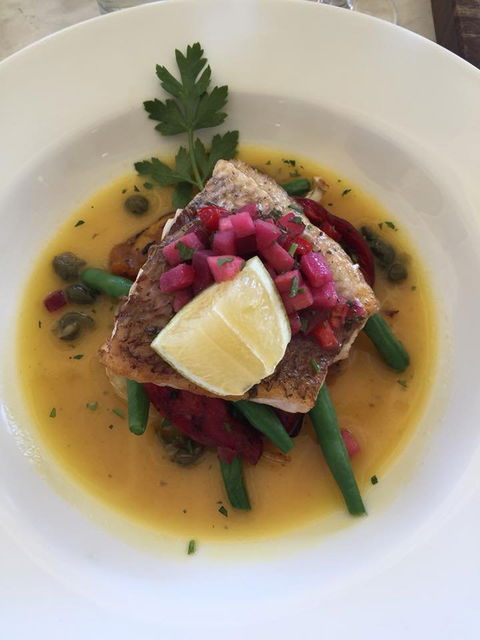 Pinelli Estate Winery Restaurant - Tourism Caloundra 5