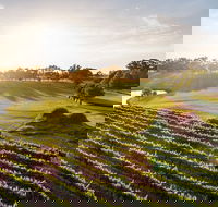 Sandalford Restaurant - Tourism Caloundra