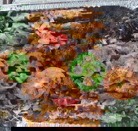 Cairo Cafe - Tourism Caloundra