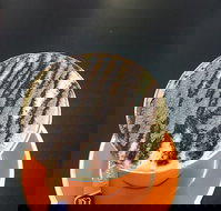 The Daily Grind Cafe