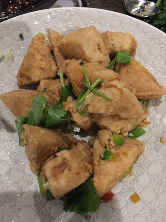 Toorak Gardens SA Tourism Caloundra