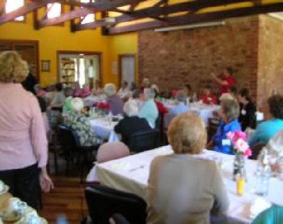 Porter Lagoon SA Tourism Caloundra