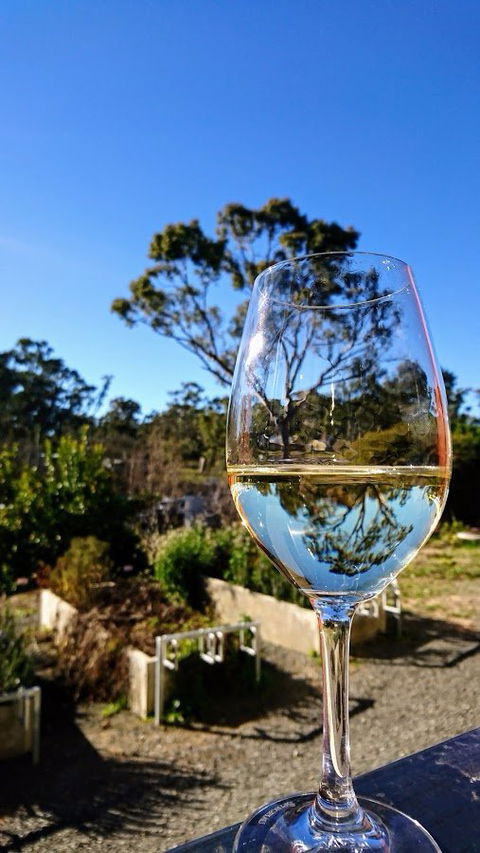 Mocandunda Cellar Door And Restaurant - Tourism Caloundra 3