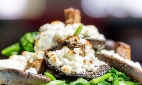 Bohemian Bungalow - Tourism Caloundra 6