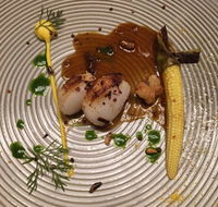 Montrachet - Tourism Caloundra