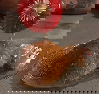 Charm Thai - Upper Coomera - Tourism Caloundra