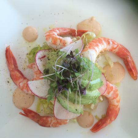 Kenmore Dc QLD Tourism Caloundra