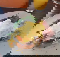 Stock Bar  Grill - Tourism Caloundra