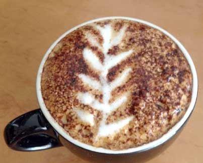 Tatsuya - Tourism Caloundra 8