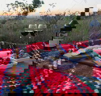 Bunnyconnellen Olive Grove  Vineyard - Tourism Caloundra