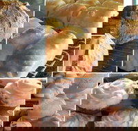 Elegant Emu - Tourism Caloundra