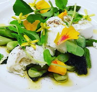 Little Black Pig  Sons - Tourism Caloundra