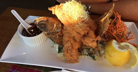 Ped's Kafe - Tourism Caloundra 0