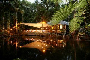 Daintree Eco Lodge & Spa - Tourism Caloundra 2