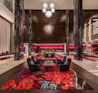 The Darling - Tourism Caloundra