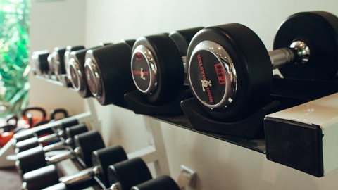 Holiday Inn Warwick Farm - Tourism Caloundra 13