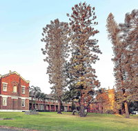 Mercure Monte Pio Hotel  Conference Ctr - Tourism Caloundra