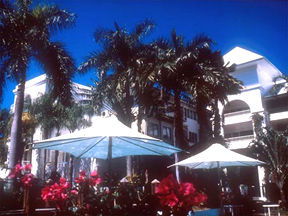 Alamanda Palm Cove - Tourism Caloundra 1