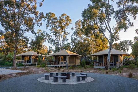 Discovery Parks Barossa Valley - Tourism Caloundra 0