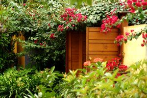 Pink Flamingo - Tourism Caloundra 0
