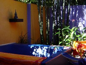 Pink Flamingo - Tourism Caloundra 1