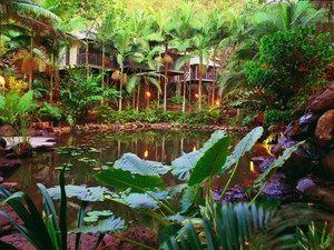 Daintree Eco Lodge & Spa - Tourism Caloundra 0