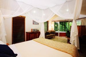Daintree Eco Lodge & Spa - Tourism Caloundra 1