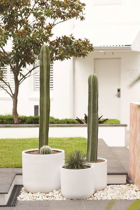 Adina Apartment Hotel Chippendale - Tourism Caloundra 0