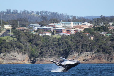 Heritage House Motel & Units - Tourism Caloundra 27