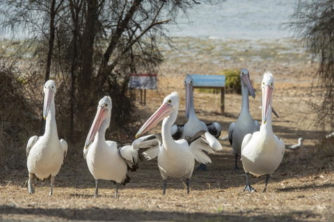 Mercure Kangaroo Island Lodge - Tourism Caloundra 15