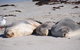 Mercure Kangaroo Island Lodge - thumb 43