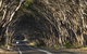 Mercure Kangaroo Island Lodge - thumb 40