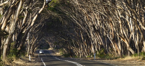 Mercure Kangaroo Island Lodge - Tourism Caloundra 40