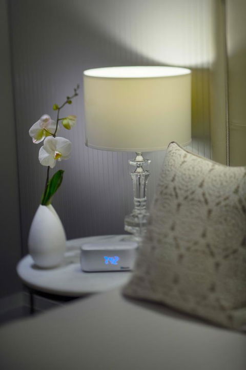 Mayfair Hotel - Tourism Caloundra 13