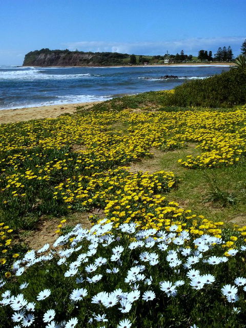 Serenity On Narrabeen Beach - 1Bdr Beachside Retreat - Tourism Caloundra 10