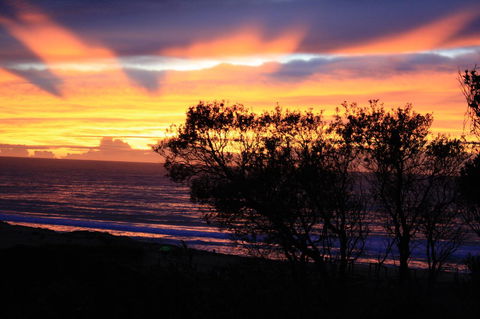 Serenity On Narrabeen Beach - 1Bdr Beachside Retreat - Tourism Caloundra 1
