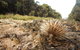 Kangaroo Island Wilderness Retreat - thumb 20