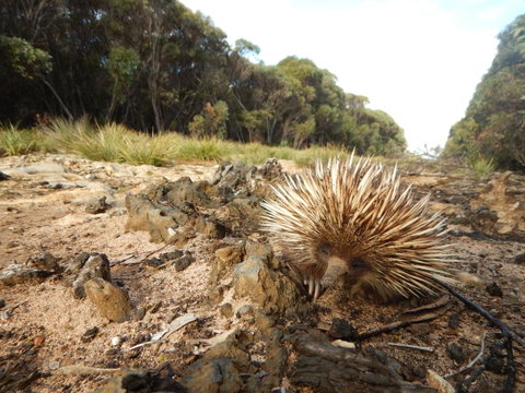 Kangaroo Island Wilderness Retreat - Tourism Caloundra 20