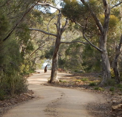 Kangaroo Island Wilderness Retreat - Tourism Caloundra 22