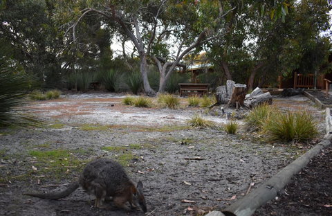 Kangaroo Island Wilderness Retreat - Tourism Caloundra 1