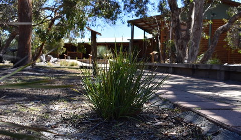 Kangaroo Island Wilderness Retreat - Tourism Caloundra 21