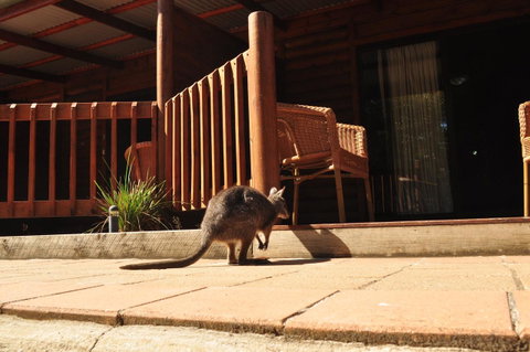 Kangaroo Island Wilderness Retreat - Tourism Caloundra 9