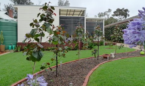 Grassmere House Magill - Tourism Caloundra 19