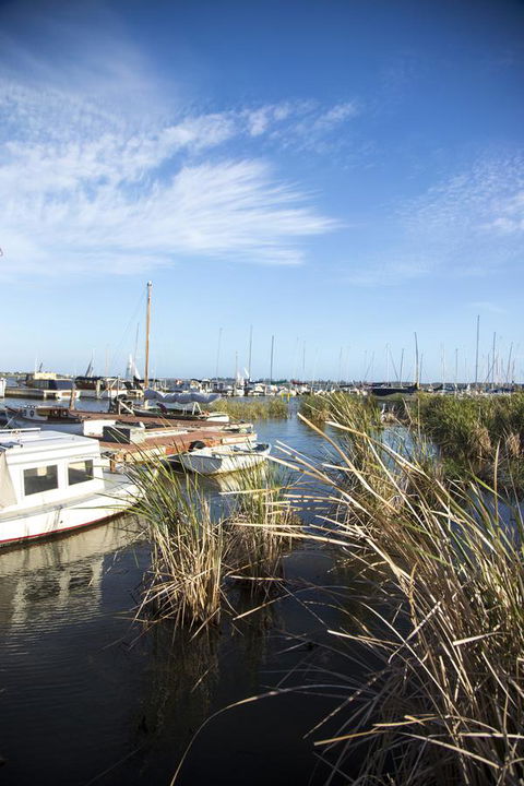 Wayfarers Cottage - Tourism Caloundra 15