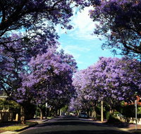 Monaco Court Apartment Adelaide - Tourism Caloundra