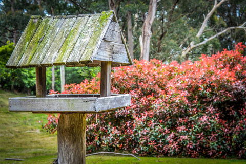 Ghost Hill Road Retreat - Tourism Caloundra 17