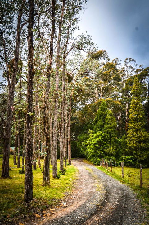 Ghost Hill Road Retreat - Tourism Caloundra 14