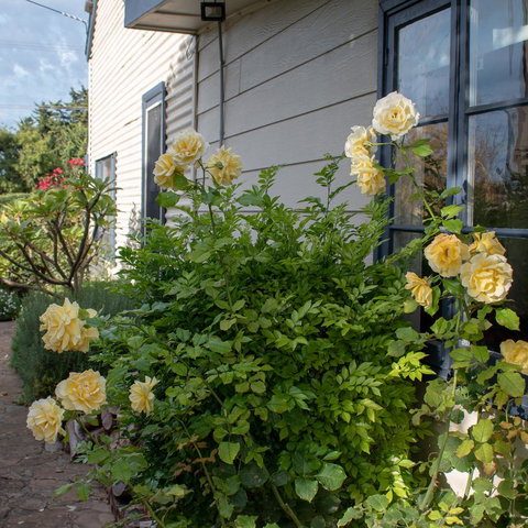 Haven Cottage Kangaroo Island - Tourism Caloundra 1