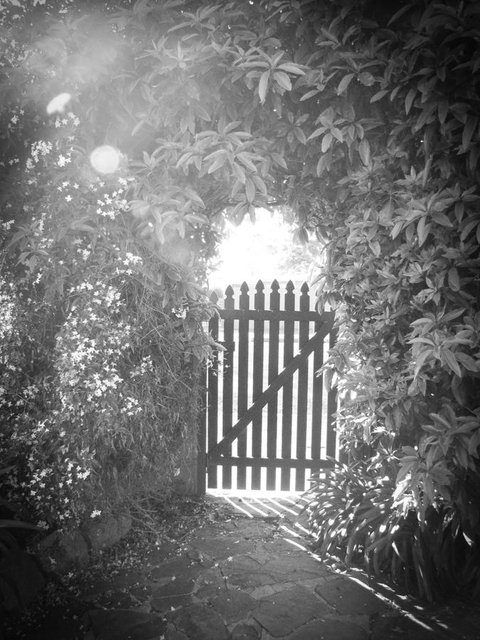 Haven Cottage Kangaroo Island - Tourism Caloundra 33