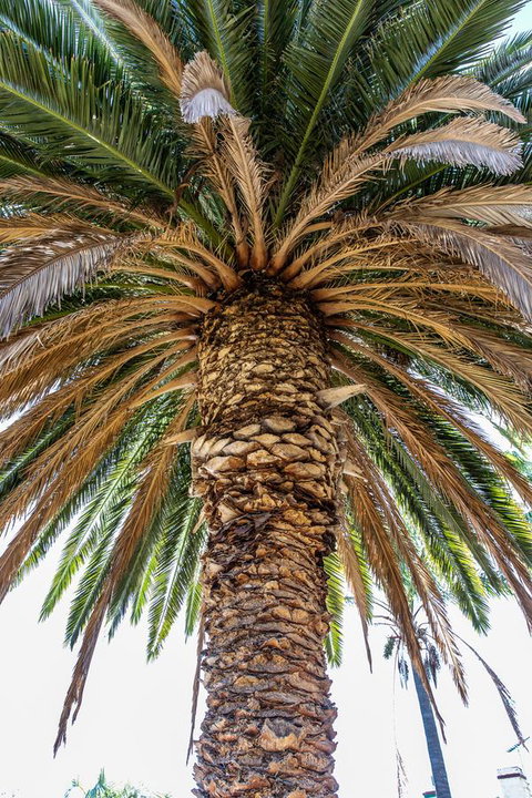 Rivergum Cottages Gawler Barossa Region - Tourism Caloundra 27